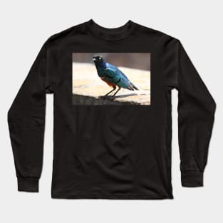 Superb Starling, Kenya Long Sleeve T-Shirt